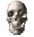 skull2.gif